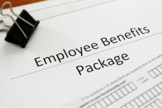 Employer Benefits Plans Graphic